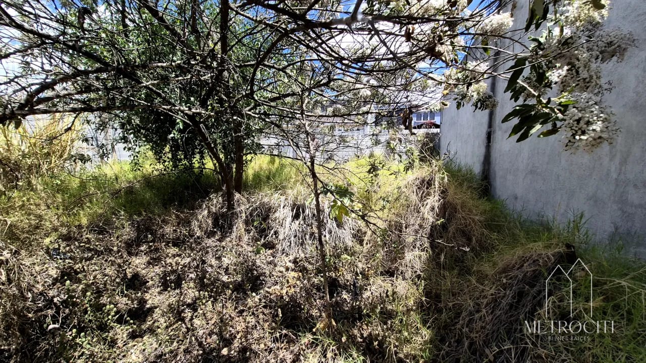 Se vende terreno plano en zona 2 de Mixco cercano a Calzada Roosevelt — Terreno en Venta en Zona 2 Mixco, Guatemala, Ciudad — foto 2 de 5