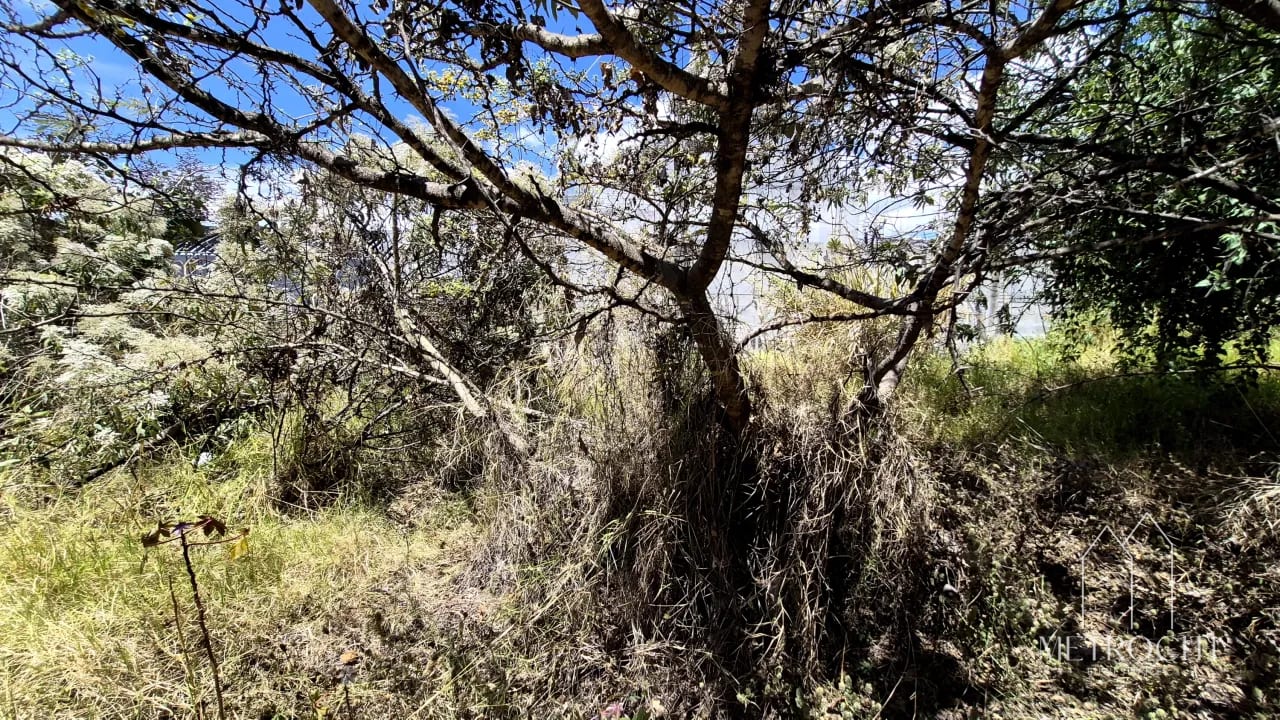 Se vende terreno plano en zona 2 de Mixco cercano a Calzada Roosevelt — Terreno en Venta en Zona 2 Mixco, Guatemala, Ciudad — foto 3 de 5