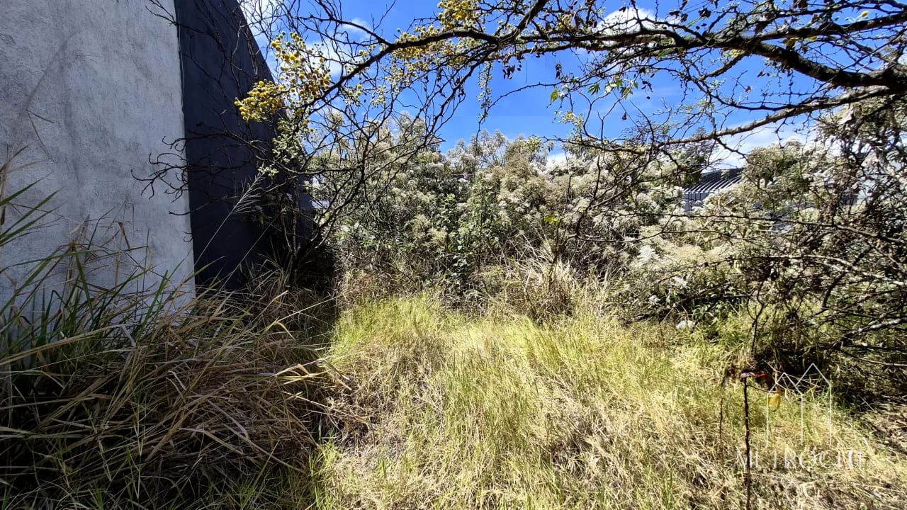Se vende terreno plano en zona 2 de Mixco cercano a Calzada Roosevelt — Terreno en Venta en Zona 2 Mixco, Guatemala, Ciudad — foto 4 de 5