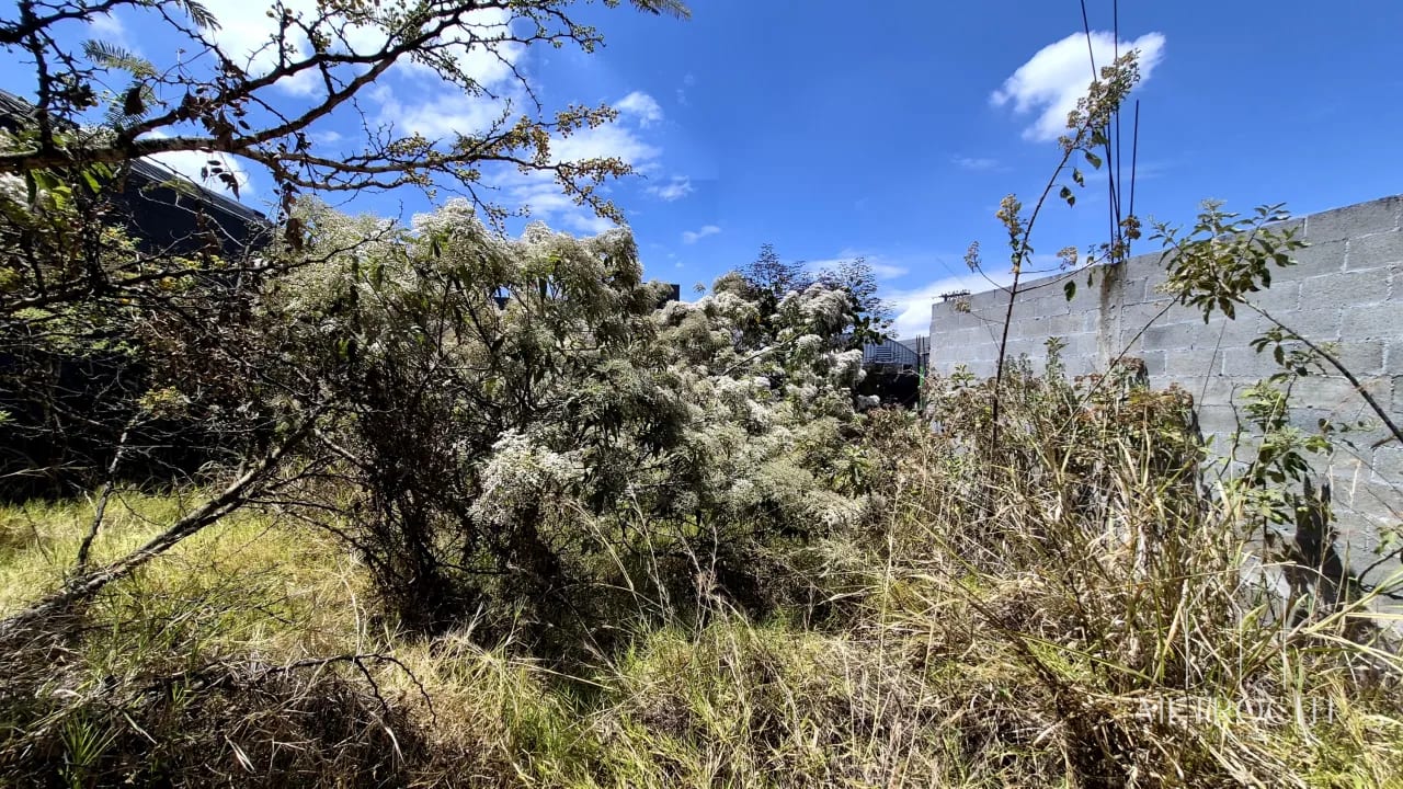 Se vende terreno plano en zona 2 de Mixco cercano a Calzada Roosevelt — Terreno en Venta en Zona 2 Mixco, Guatemala, Ciudad — foto 5 de 5