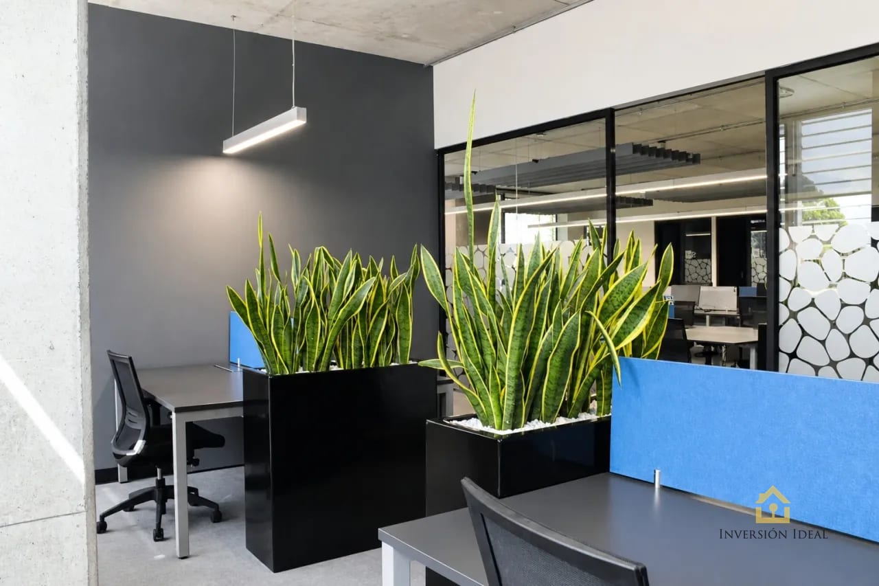 Oficinas en renta | $6,176 | 294 mts2 | Óptima, Zona 10 — Oficina en Alquiler en Optima Centro de Negocios, Zona 10, Guatemala, Ciudad — foto 8 de 10