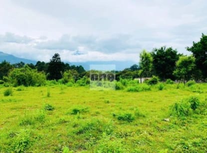 Santa Elena Barillas VENDO 2 MANZANAS de terreno PLANO — Terreno en Venta en Santa Elena Barillas, Guatemala, Ciudad — foto 1 de 3