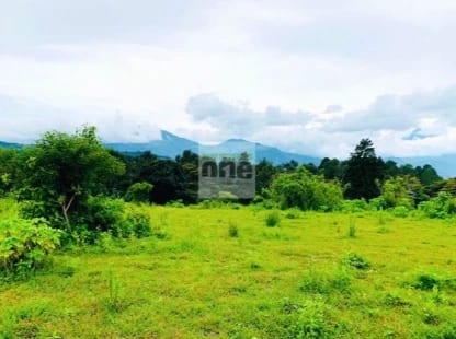 Santa Elena Barillas VENDO 2 MANZANAS de terreno PLANO — Terreno en Venta en Santa Elena Barillas, Guatemala, Ciudad — foto 2 de 3