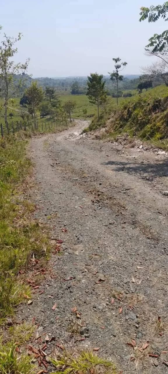 Vendo finca de 15 caballerias a 20 minutos de Río Dulce — Finca en Venta en Río dulce, Izabal — foto 1 de 10