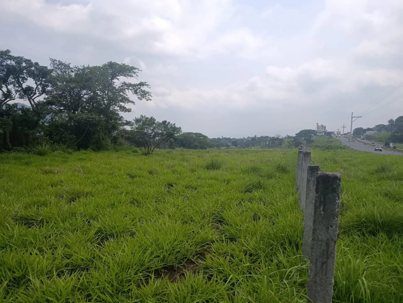 Vendo 1 manzana de terreno en Autopista Palín Escuintla — Terreno en Venta en Palín, Escuintla — foto 7 de 10