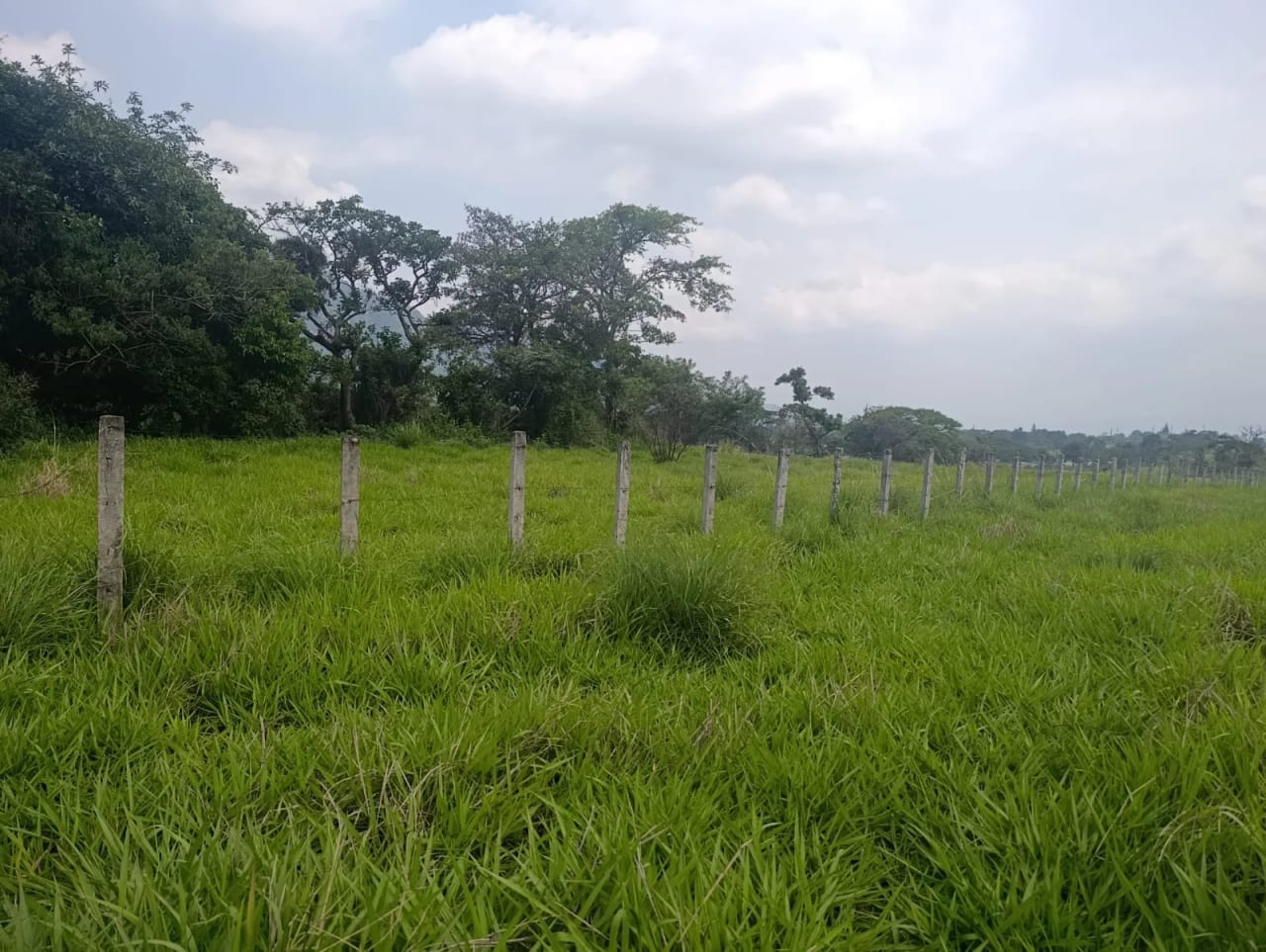 Vendo 1 manzana de terreno en Autopista Palín Escuintla — Terreno en Venta en Palín, Escuintla — foto 10 de 10