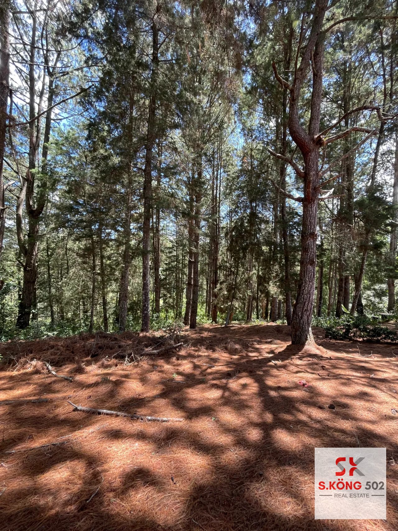 Terreno en Venta - Hacienda Nueva Country Club — Terreno en Venta en Hacienda Nueva, San José Pinula, Guatemala, Ciudad — foto 3 de 11