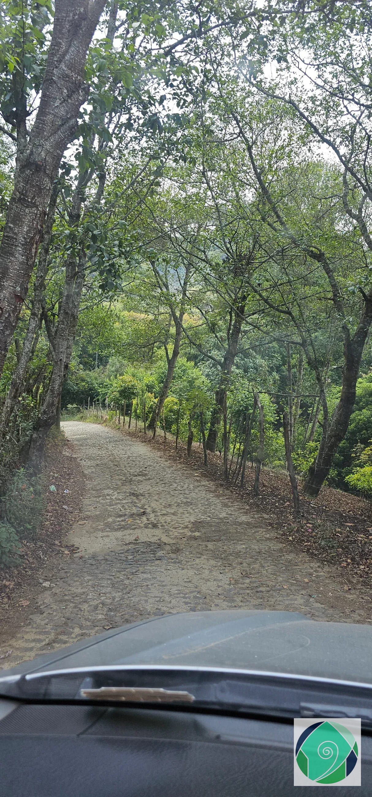 VENTA TERRENO EN EL HATO, ANTIGUA — Terreno en Venta en Antigua, Sacatepéquez — foto 7 de 9