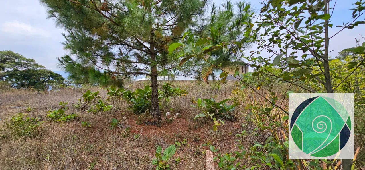 VENTA TERRENO EN EL HATO, ANTIGUA — Terreno en Venta en Antigua, Sacatepéquez — foto 3 de 9