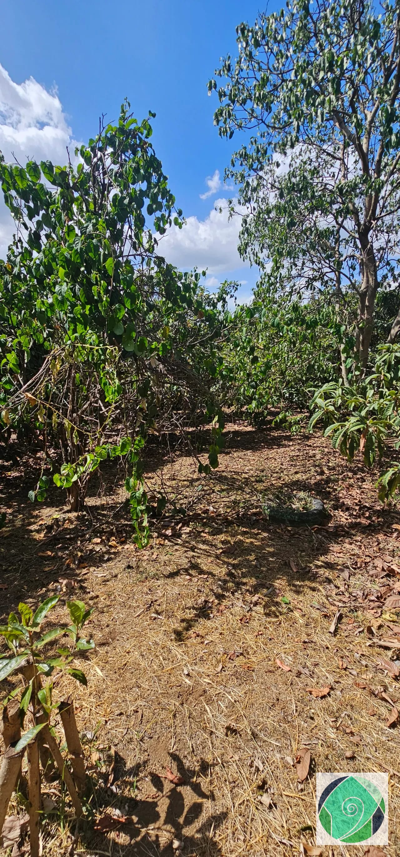 Venta Terreno Ideal Desarrollo en San Juan el Obispo, Antigua — Terreno en Venta en Antigua, Sacatepéquez — foto 3 de 12