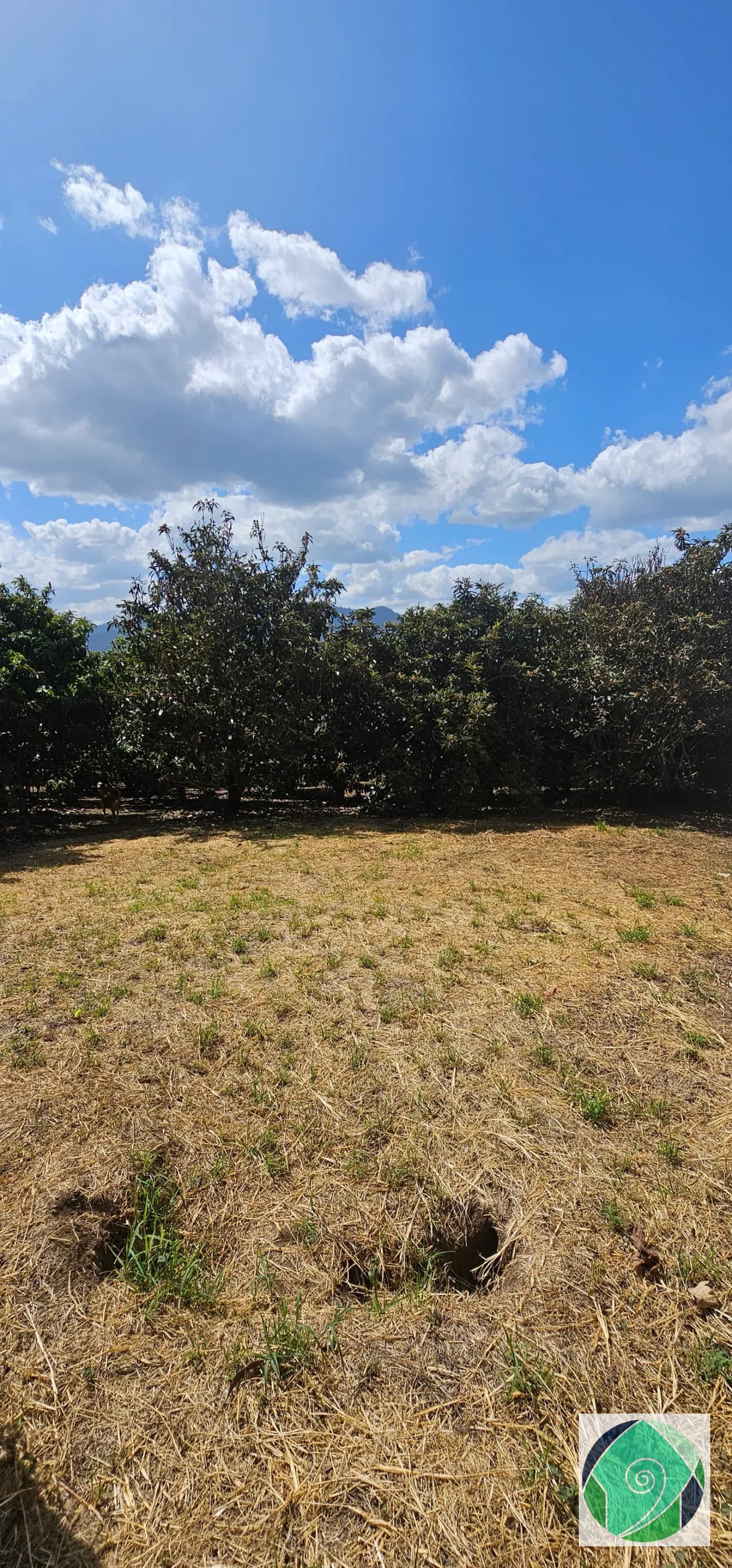 Venta Terreno Ideal Desarrollo en San Juan el Obispo, Antigua — Terreno en Venta en Antigua, Sacatepéquez — foto 5 de 12