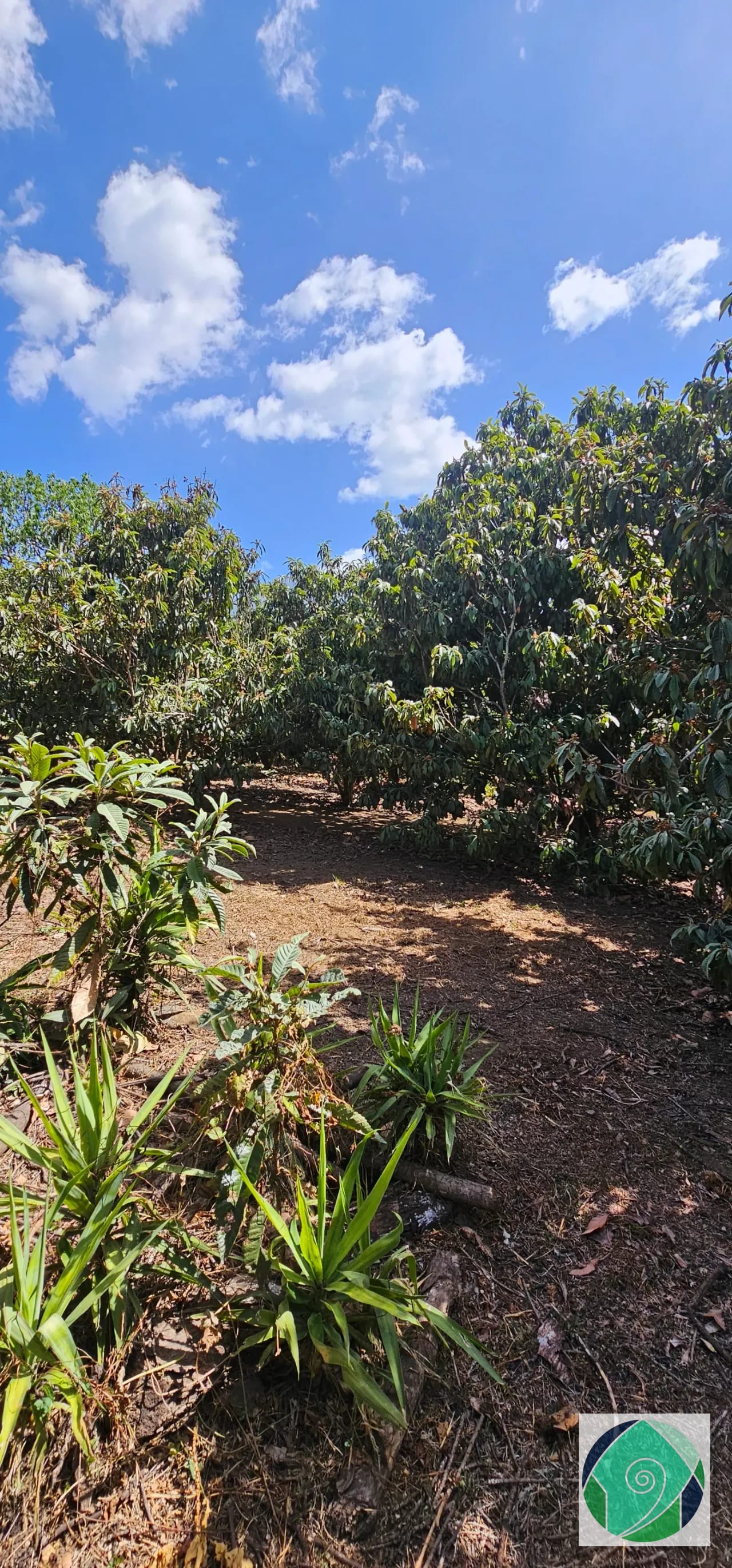 Venta Terreno Ideal Desarrollo en San Juan el Obispo, Antigua — Terreno en Venta en Antigua, Sacatepéquez — foto 7 de 12
