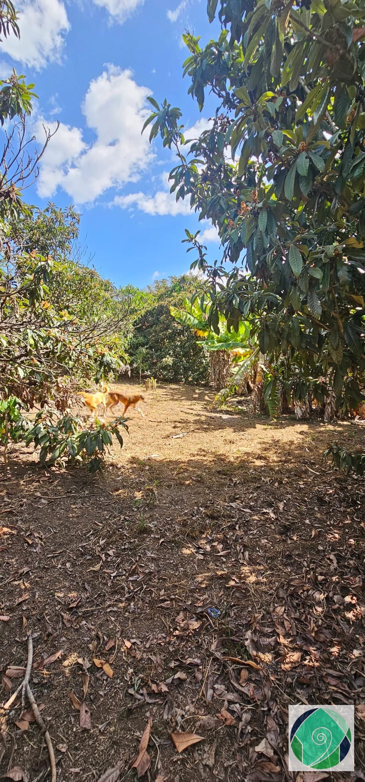 Venta Terreno Ideal Desarrollo en San Juan el Obispo, Antigua — Terreno en Venta en Antigua, Sacatepéquez — foto 8 de 12