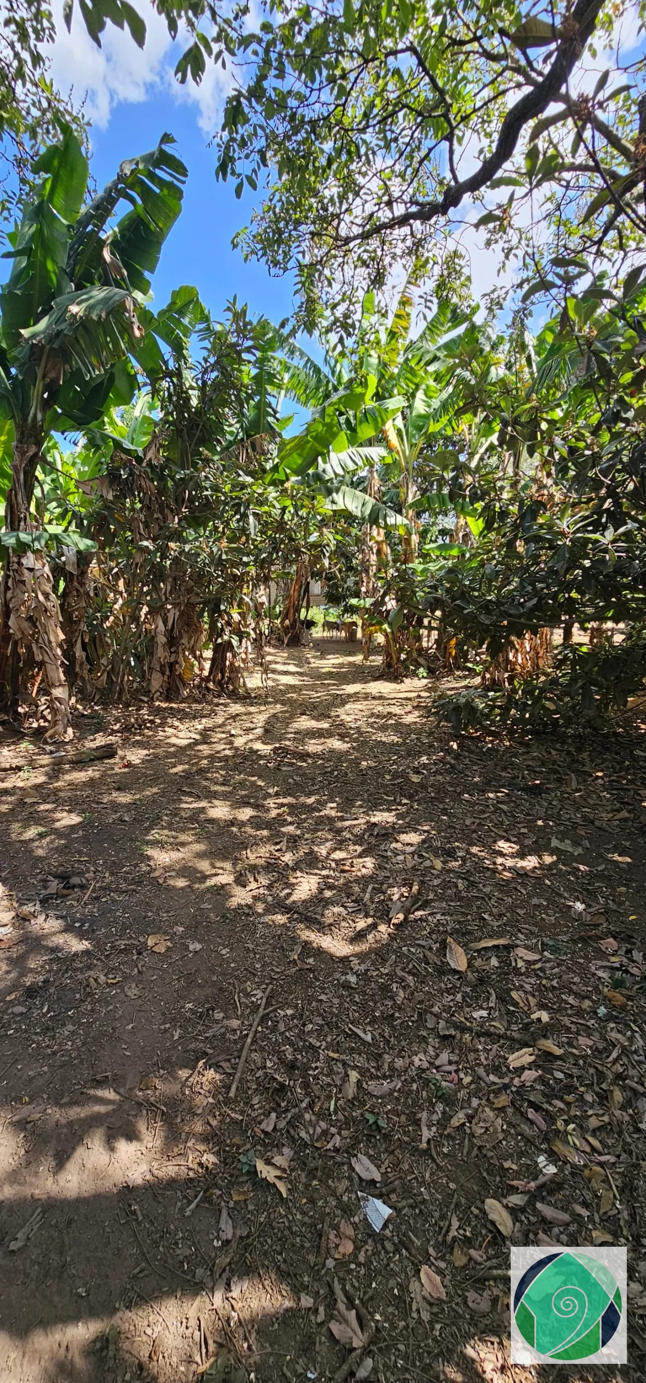 Venta Terreno Ideal Desarrollo en San Juan el Obispo, Antigua — Terreno en Venta en Antigua, Sacatepéquez — foto 11 de 12