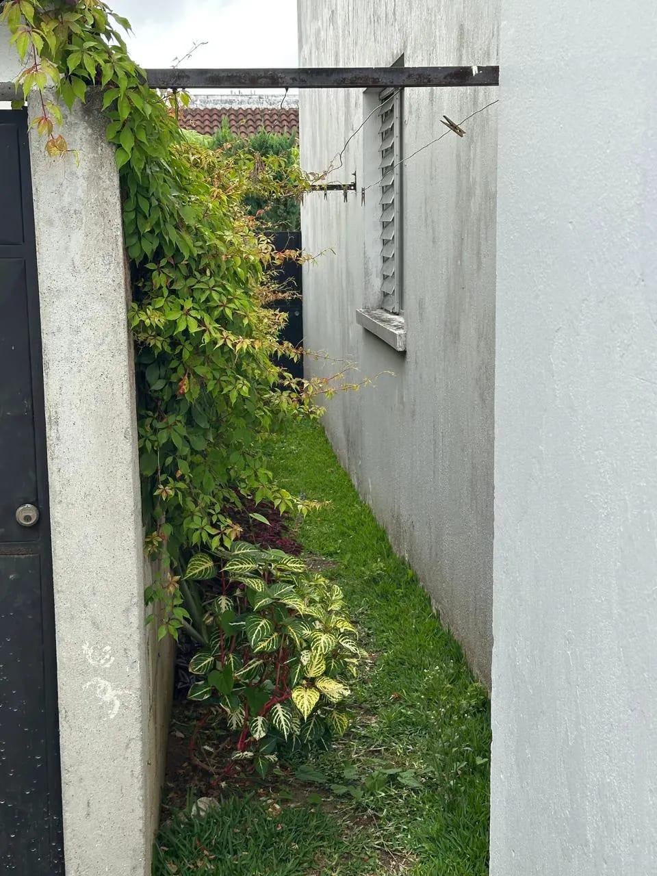 Casa en venta en SANTA AMELIA z16 — Casa en Venta en Santa Amelia, Zona 16, Guatemala, Ciudad — foto 7 de 7