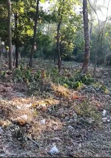 Terreno en Escuintla — Terreno en Alquiler en Escuintla, Escuintla — foto 5 de 7