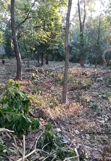 Terreno en Escuintla — Terreno en Alquiler en Escuintla, Escuintla — foto 3 de 7