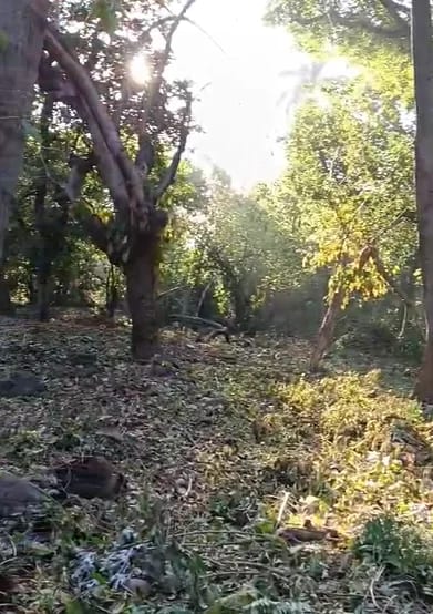 Terreno en Escuintla — Terreno en Alquiler en Escuintla, Escuintla — foto 4 de 7