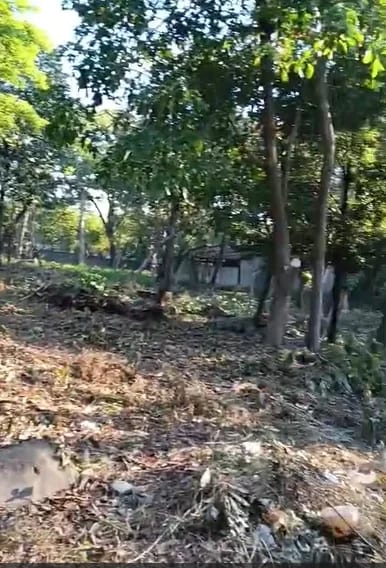 Terreno en Escuintla — Terreno en Alquiler en Escuintla, Escuintla — foto 7 de 7