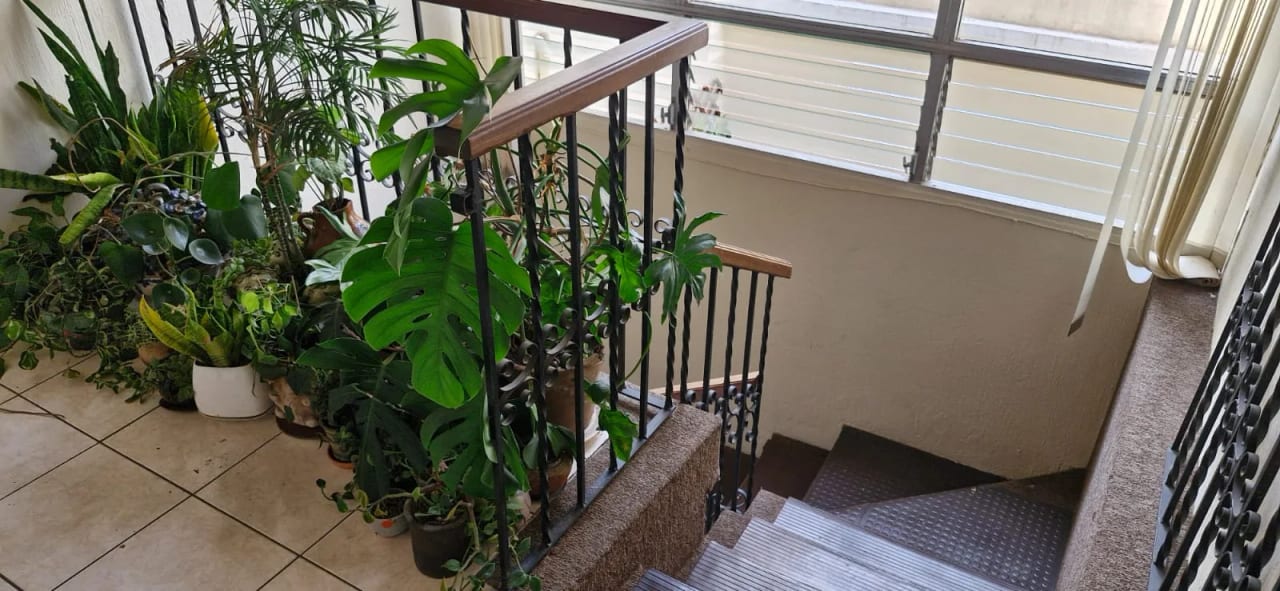 Apartamento semi amueblado en Zona 15 — Apartamento en Alquiler en Zona 15, Guatemala, Ciudad — foto 4 de 9