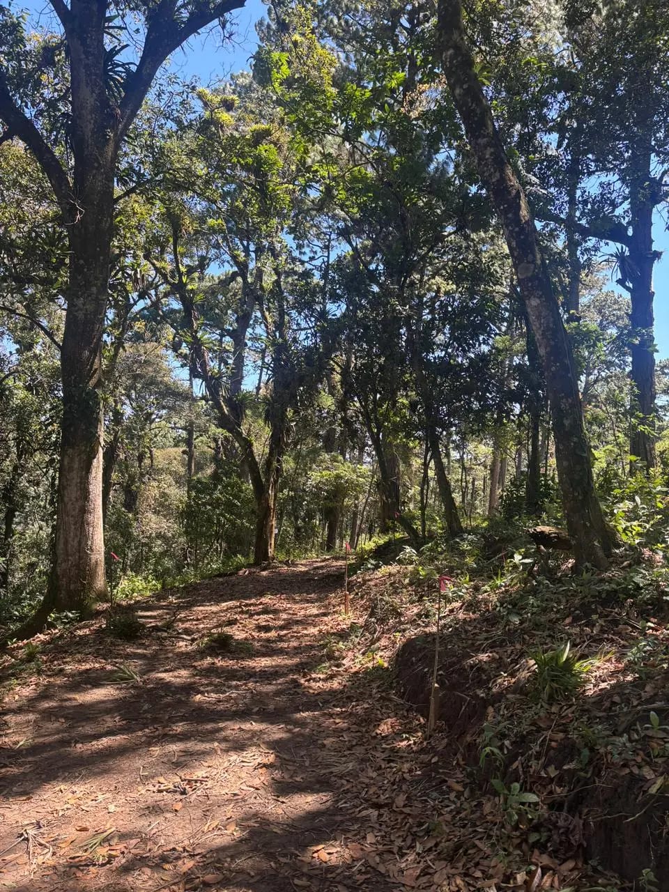 Terrenos en Zona 16 (Opción 2) — Terreno en Venta en Zona 16, Guatemala, Ciudad — foto 6 de 7