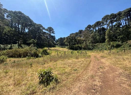 Terreno en Zona 16 (Opción 4) — Terreno en Venta en Zona 16, Guatemala, Ciudad — foto 1 de 7