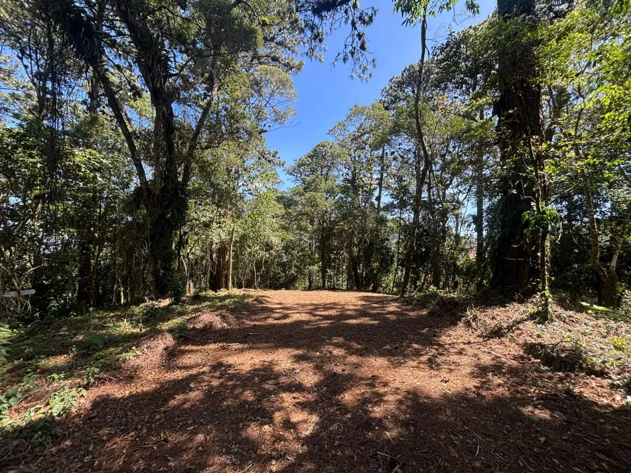 Terreno en Zona 16 (Opción 4) — Terreno en Venta en Zona 16, Guatemala, Ciudad — foto 5 de 7