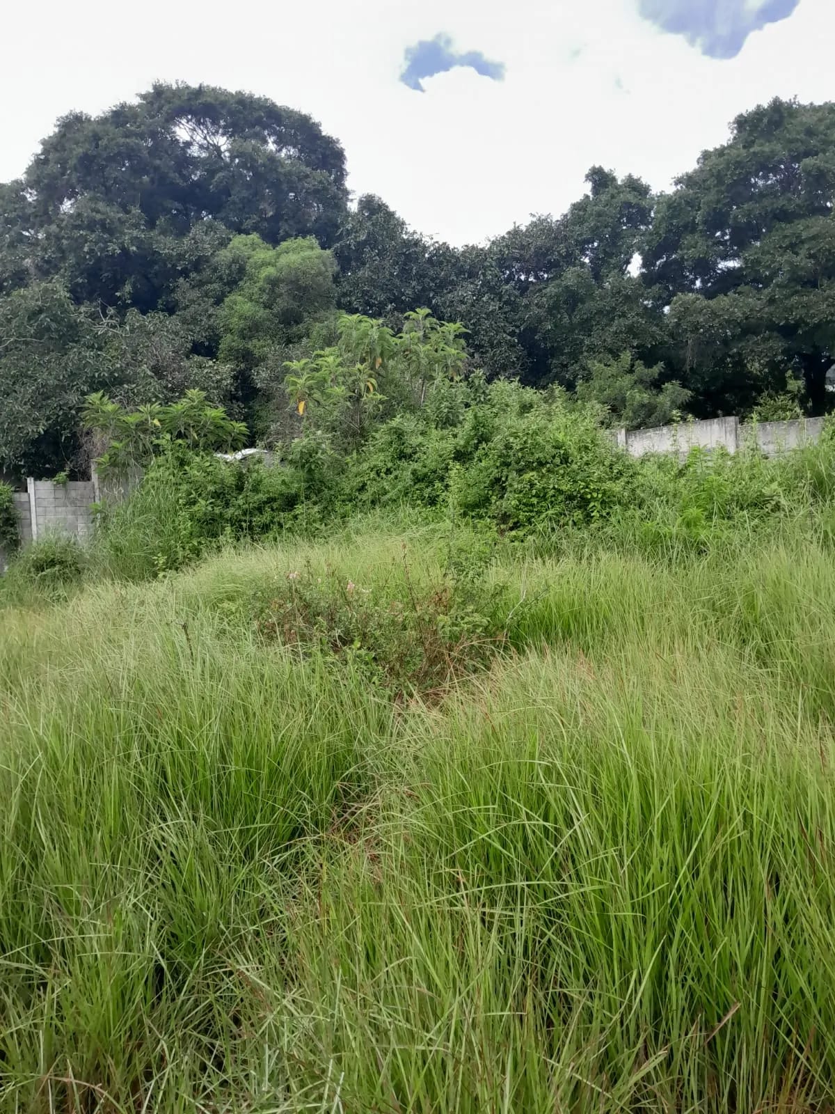 Terreno en Zona 1 de Mixco — Terreno en Venta en Zona 1 Mixco, Guatemala, Ciudad — foto 6 de 8