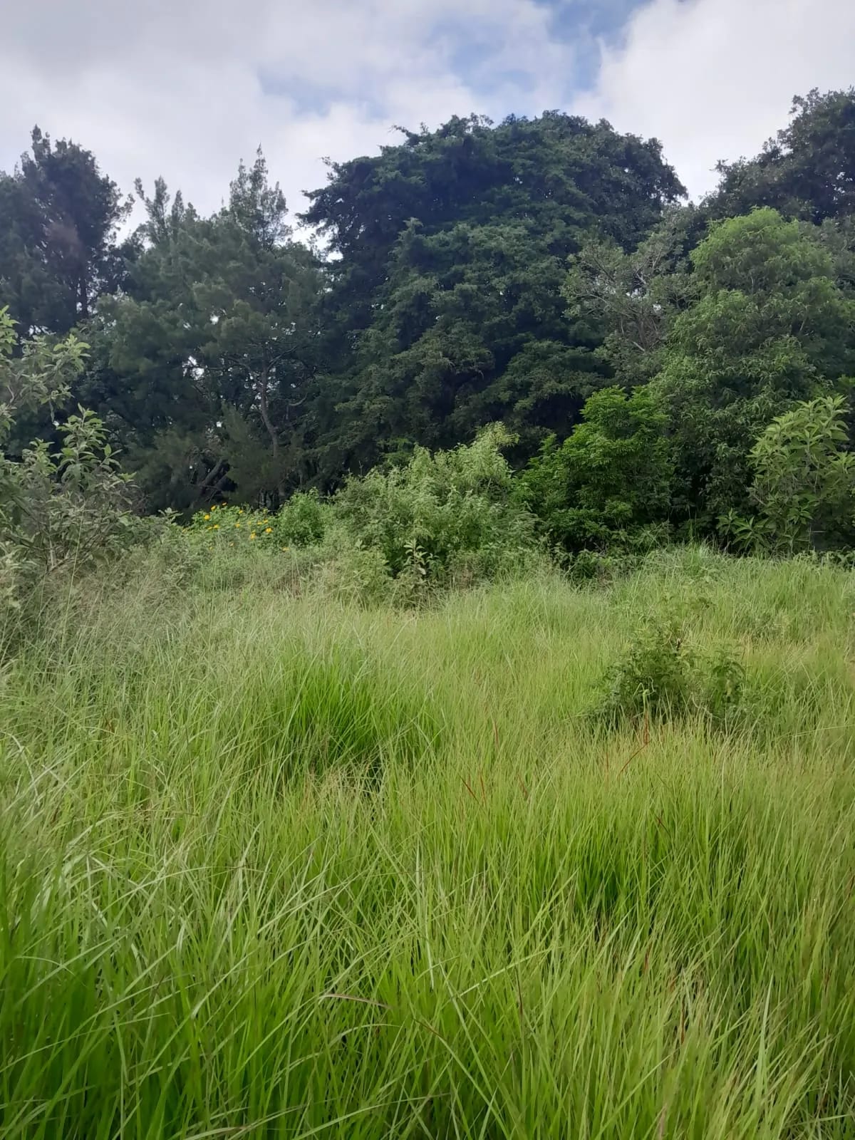 Terreno en Zona 1 de Mixco — Terreno en Venta en Zona 1 Mixco, Guatemala, Ciudad — foto 7 de 8