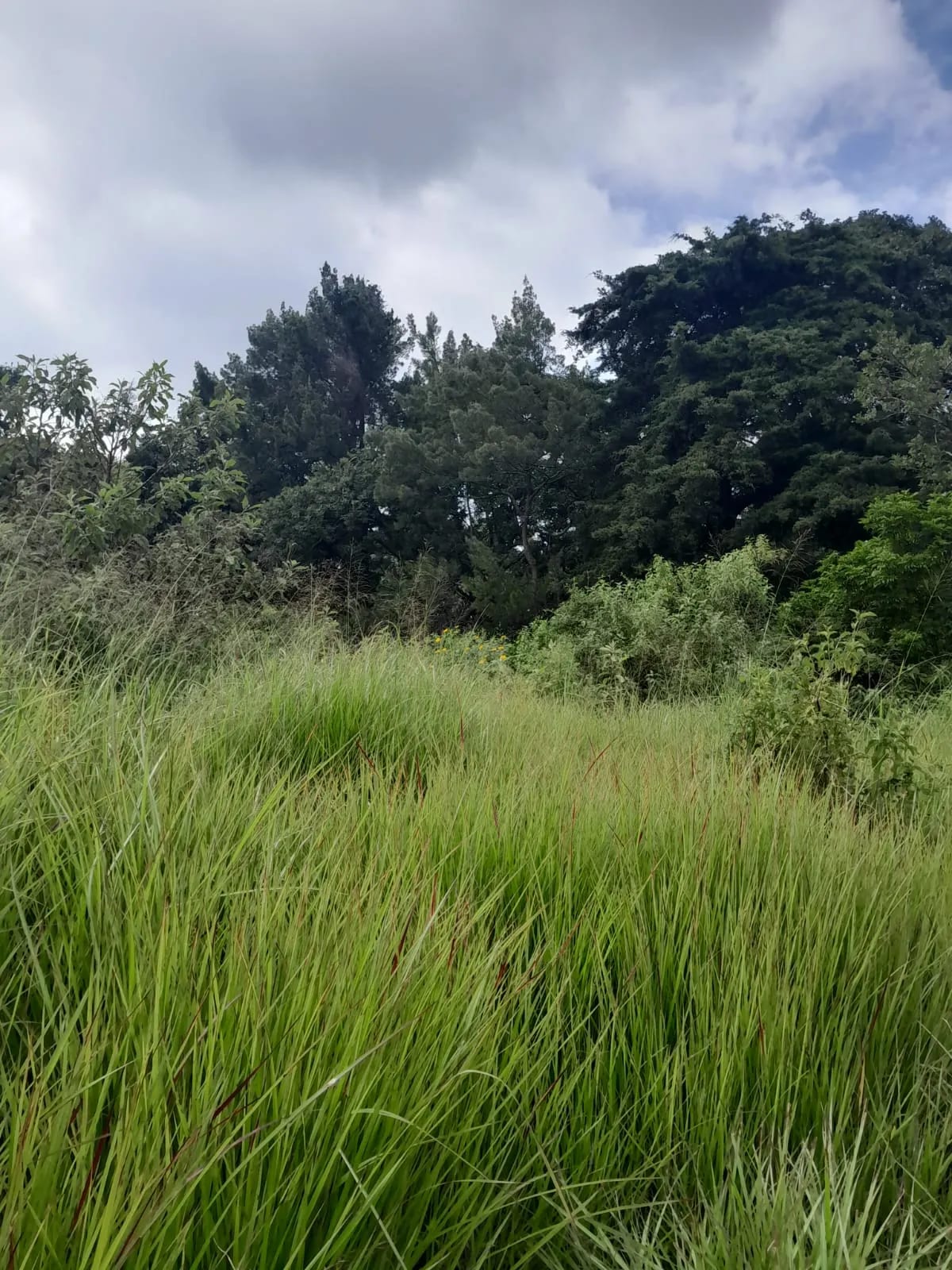 Terreno en Zona 1 de Mixco — Terreno en Venta en Zona 1 Mixco, Guatemala, Ciudad — foto 1 de 8
