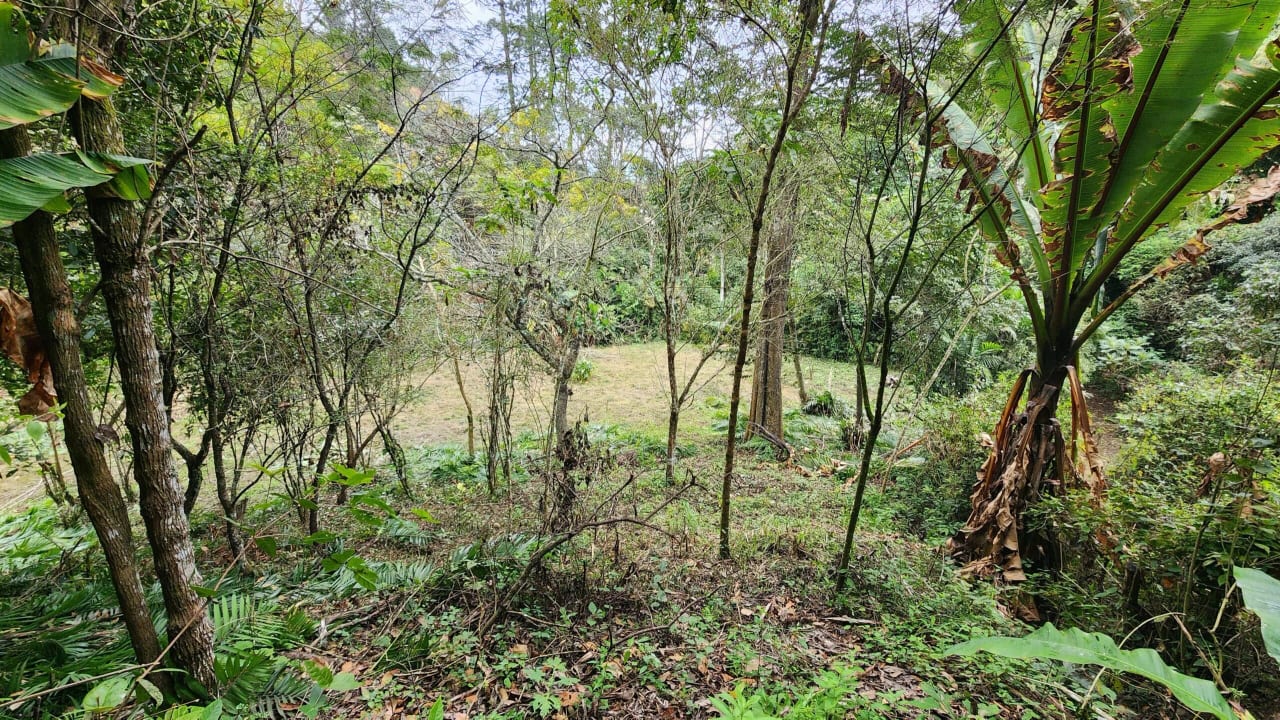 Terreno en sector Piedra Parada, Santa Catarina Pinula — Terreno en Venta en Santa Catarina Pinula, Guatemala, Ciudad — foto 4 de 5