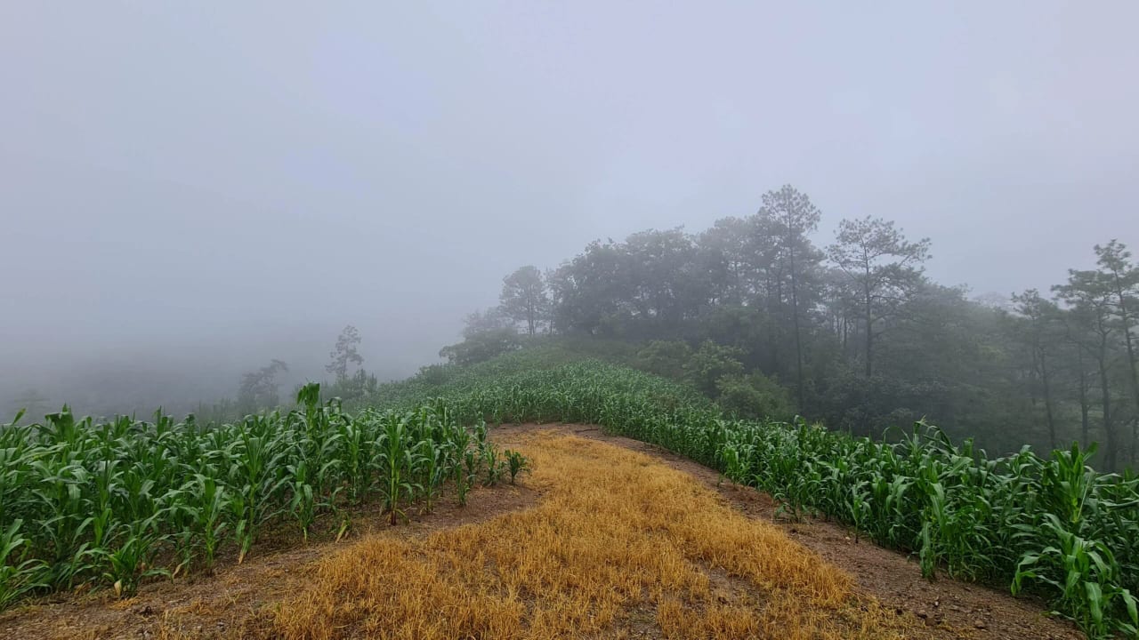 Terreno en Km 17 San Pedro Ayampuc — Terreno en Venta en San Pedro Ayampuc, Guatemala, Ciudad — foto 3 de 8