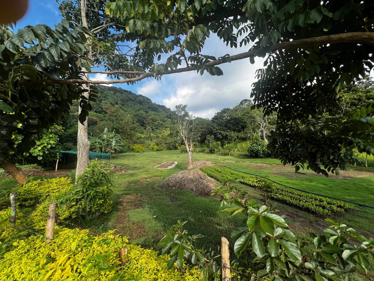 Terreno en Laguna del Pino, Santa Rosa — Terreno en Venta en Barberena, Santa Rosa — foto 3 de 5
