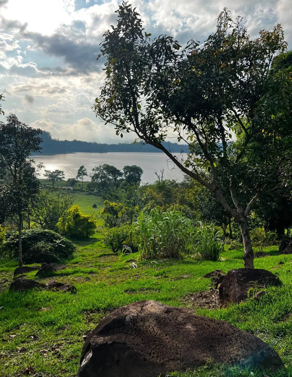 Terreno en Laguna del Pino, Santa Rosa — Terreno en Venta en Barberena, Santa Rosa — foto 1 de 5