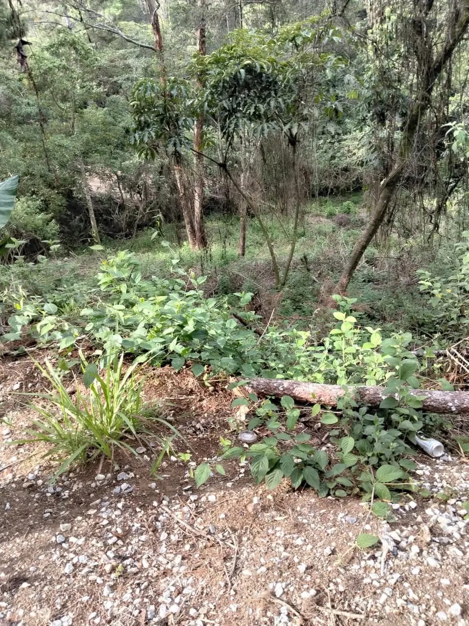 Terreno en Km 16 Carretera a El Salvador — Terreno en Venta en Carretera a El Salvador, Guatemala, Ciudad — foto 4 de 8