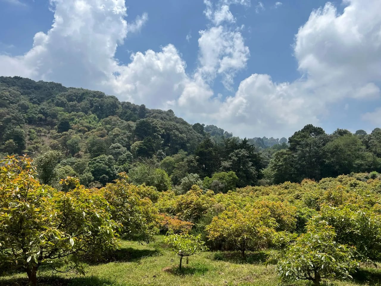 Terreno en Santiago Sacatepéquez — Terreno en Venta en Santiago Sacatepéquez, Sacatepéquez — foto 7 de 10