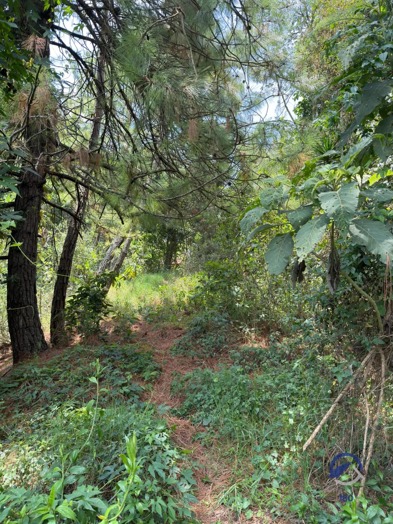Amplio terreno en renta en San José Pinula, km. 20, sobre la RN-18 — Terreno en Alquiler en San José Pinula, Guatemala, Ciudad — foto 5 de 16