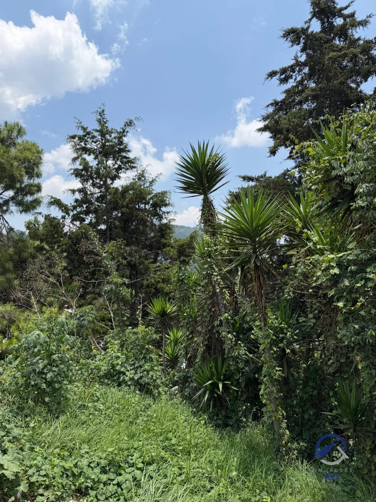 Amplio terreno en renta en San José Pinula, km. 20, sobre la RN-18 — Terreno en Alquiler en San José Pinula, Guatemala, Ciudad — foto 9 de 16