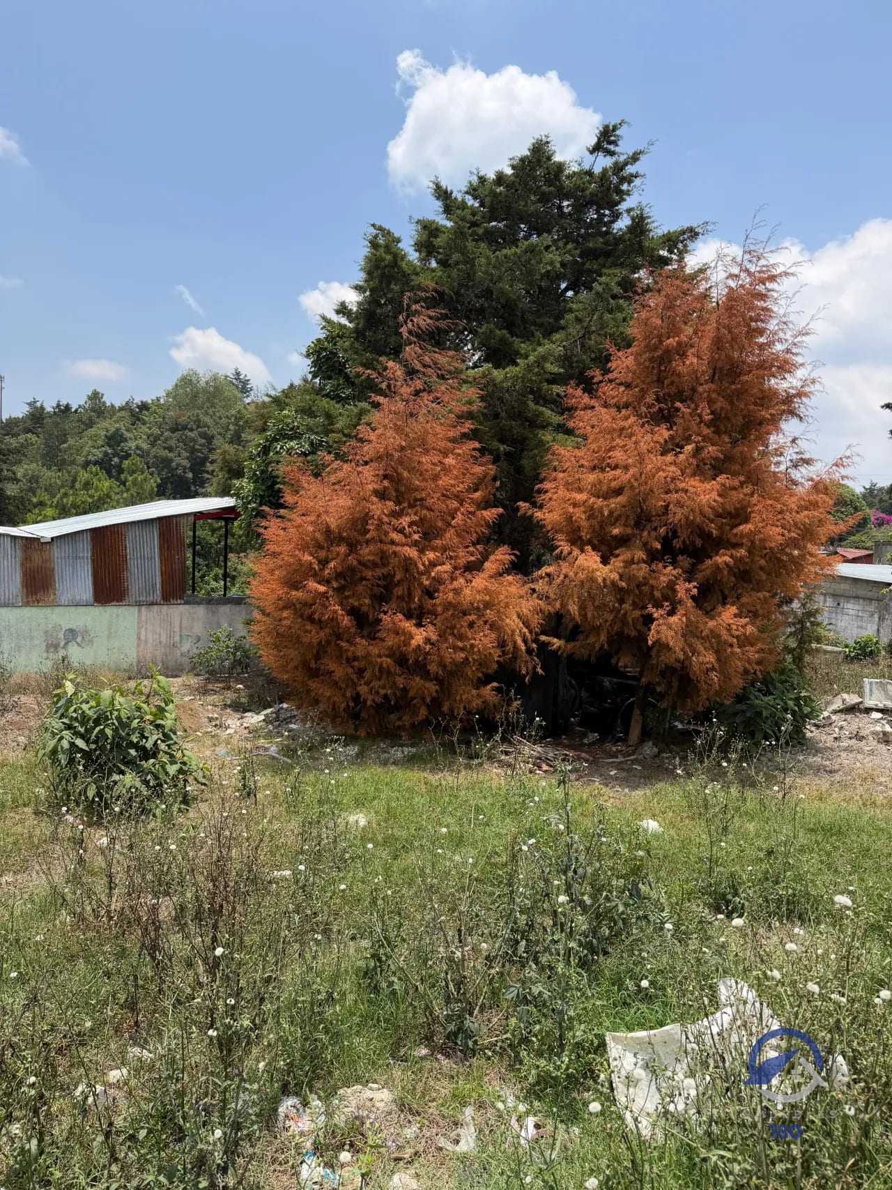 Amplio terreno en renta en San José Pinula, km. 20, sobre la RN-18 — Terreno en Alquiler en San José Pinula, Guatemala, Ciudad — foto 13 de 16