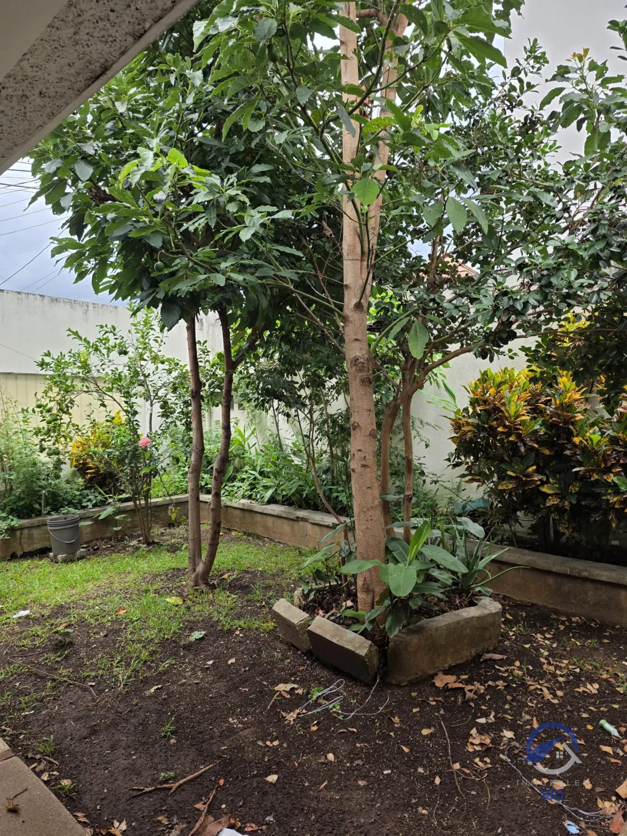 Casa antigua en venta para remodelar o demoler en Col. El Maestro, z15 — Terreno en Venta en Colonia El Maestro, Zona 15, Guatemala, Ciudad — foto 10 de 15