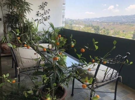 Alquiler de Apartamento en Zona 14 Premiuer Club, Amueblado y Equipado de Tres Dormitorios — Apartamento en Alquiler en Premiere Club, Zona 14, Guatemala, Ciudad — foto 3 de 15