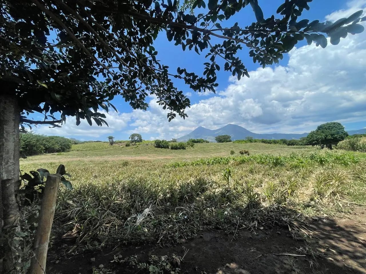 Venta de terreno o finca en Villa Canales El Jocotillo 43 manzanas se — Finca en Venta en Villa Canales, Guatemala, Ciudad — foto 4 de 8