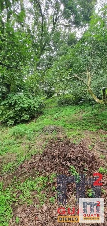 Terreno en Venta, Santa Catarina Pinula — Terreno en Venta en Santa Catarina Pinula, Guatemala, Ciudad — foto 7 de 15