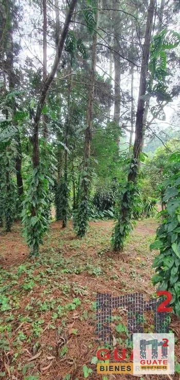Terreno en Venta, Santa Catarina Pinula — Terreno en Venta en Santa Catarina Pinula, Guatemala, Ciudad — foto 12 de 15