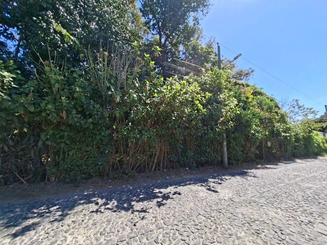 Únicos terrenos en venta, planos en Antigua Guatemala — Terreno en Venta en Antigua, Sacatepéquez — foto 2 de 5