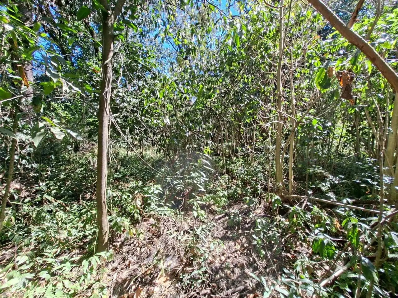 Únicos terrenos en venta, planos en Antigua Guatemala — Terreno en Venta en Antigua, Sacatepéquez — foto 3 de 5