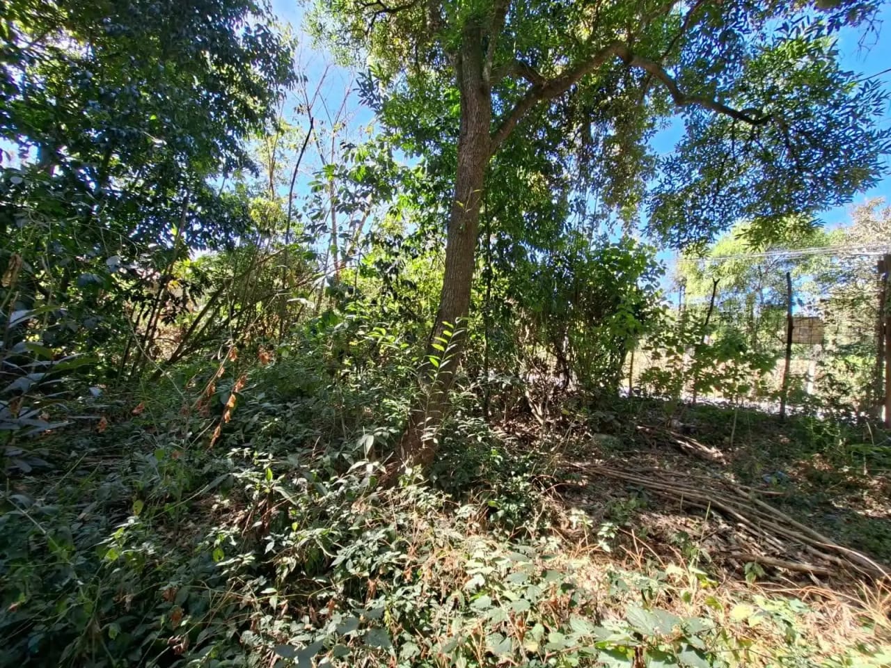 Únicos terrenos en venta, planos en Antigua Guatemala — Terreno en Venta en Antigua, Sacatepéquez — foto 4 de 5