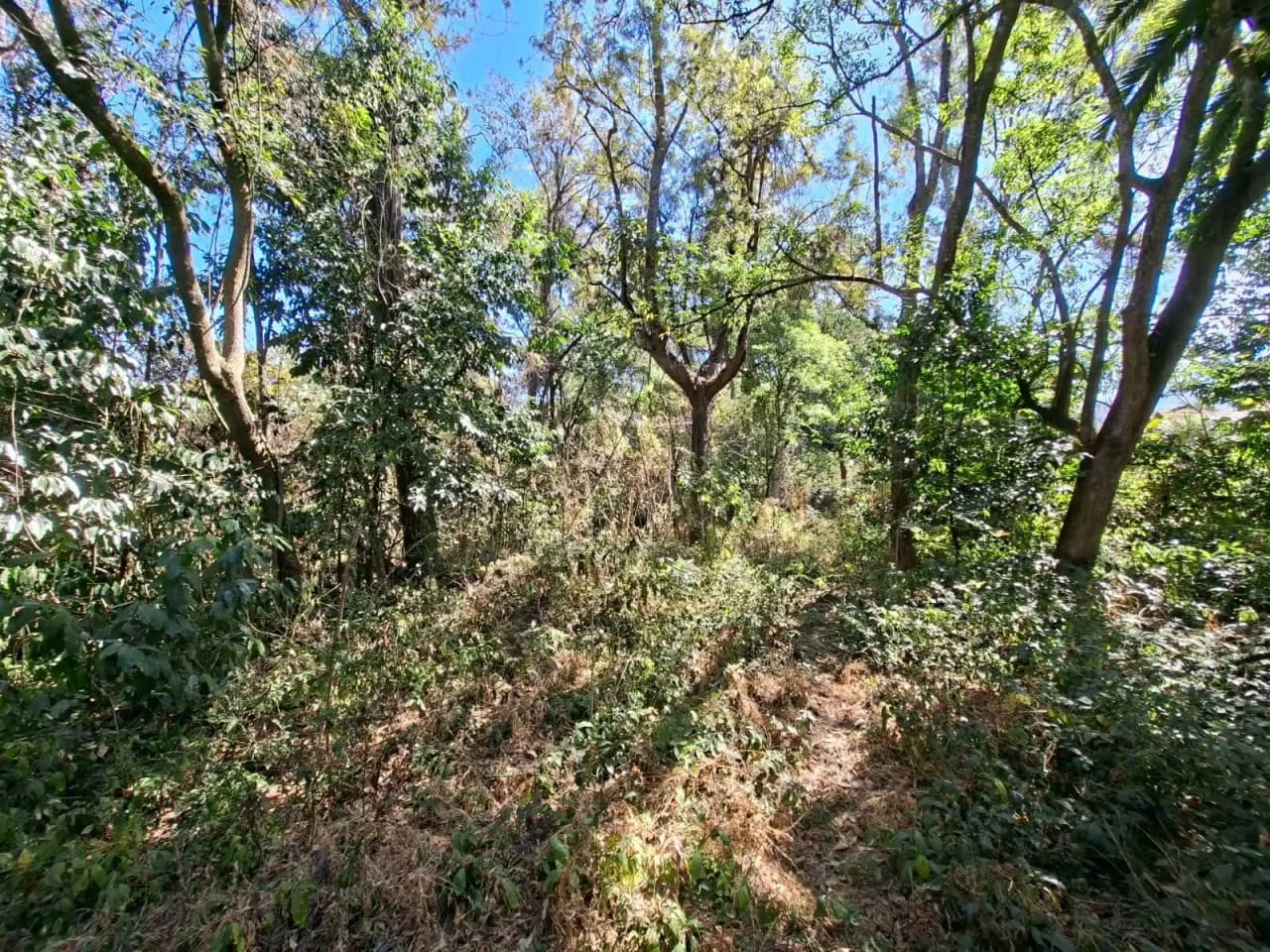 Únicos terrenos en venta, planos en Antigua Guatemala — Terreno en Venta en Antigua, Sacatepéquez — foto 5 de 5