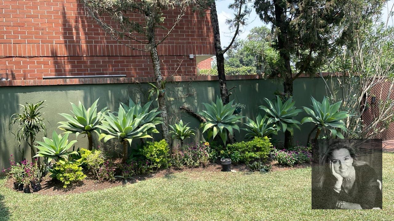 Casa en Condominio en Renta zona 15 — Casa en Alquiler en La Boscana, Zona 15, Guatemala, Ciudad — foto 12 de 14