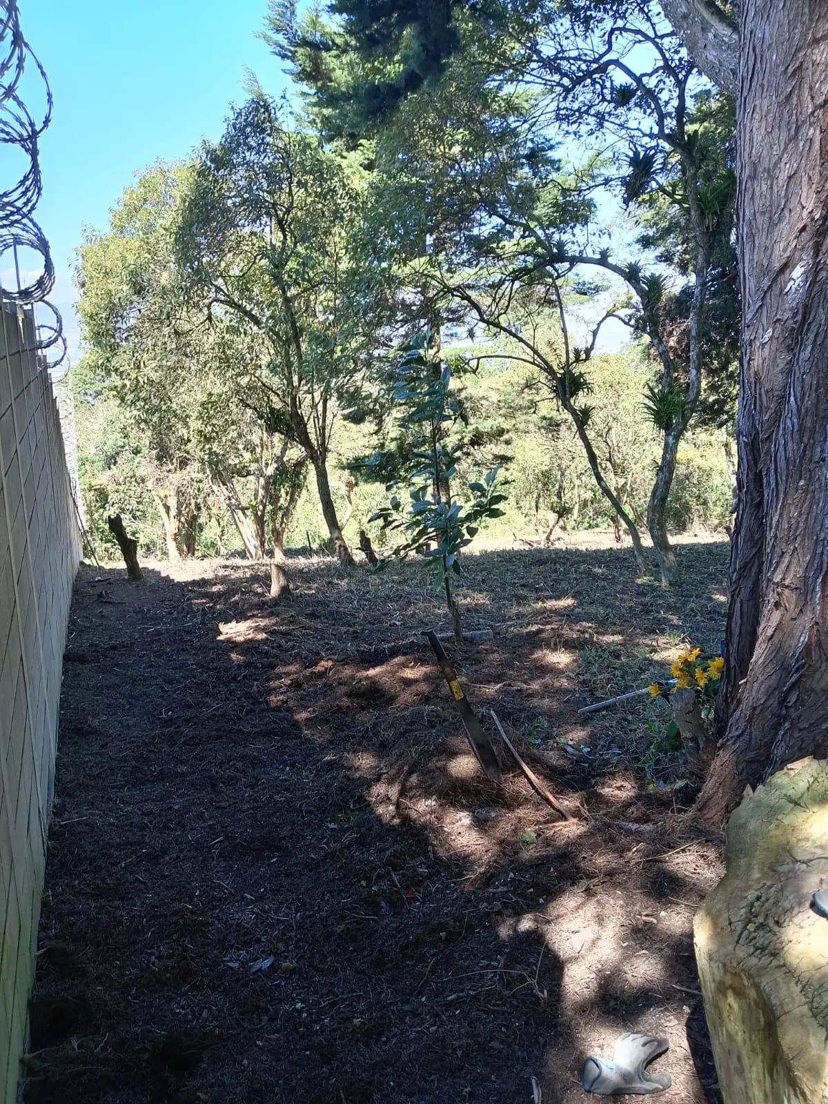 Terreno en VENTA en San Vicente CAES Km 16.5 — Terreno en Venta en Santa Catarina Pinula, Guatemala, Ciudad — foto 4 de 5